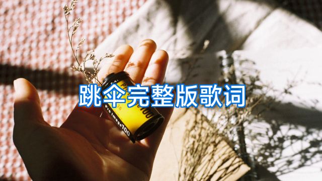 跳伞完整版歌词