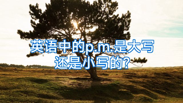 英语中的p.m.是大写还是小写的?