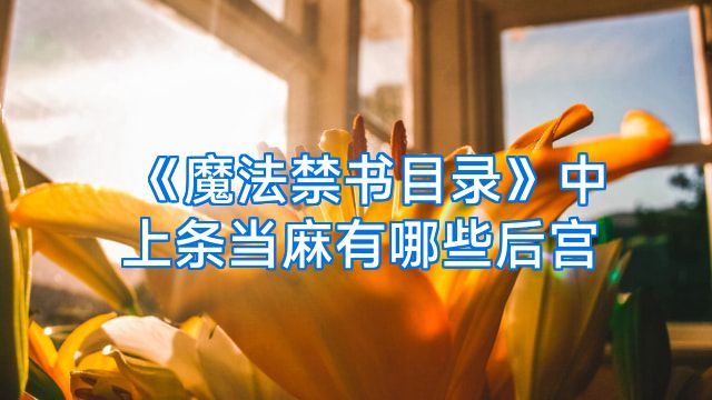 《魔法禁书目录》中上条当麻有哪些后宫