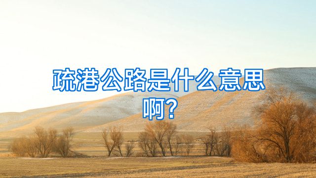 疏港公路是什么意思啊?