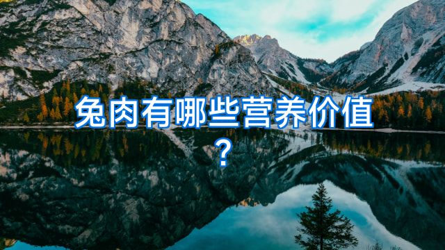 兔肉有哪些营养价值?