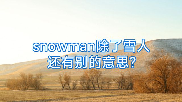 snowman除了雪人还有别的意思?