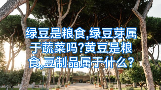 绿豆是粮食,绿豆芽属于蔬菜吗?黄豆是粮食,豆制品属于什么?