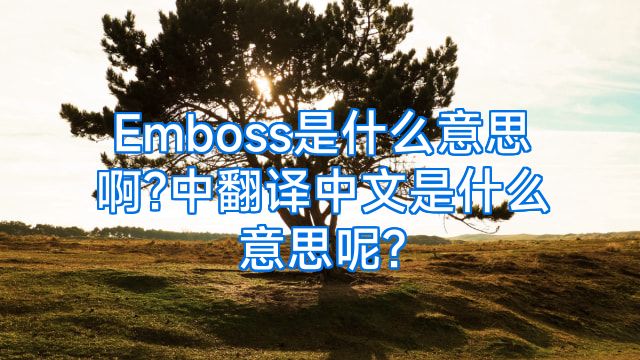 Emboss是什么意思啊?中翻译中文是什么意思呢?