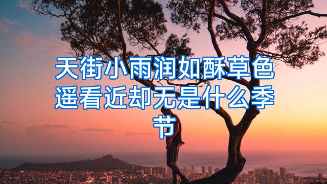天街小雨润如酥草色遥看近却无是什么季节