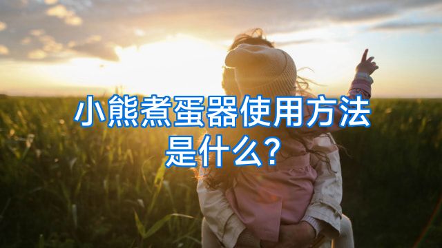 小熊煮蛋器使用方法是什么?