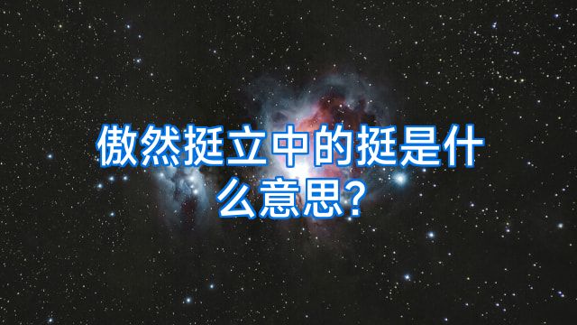 傲然挺立中的挺是什么意思?