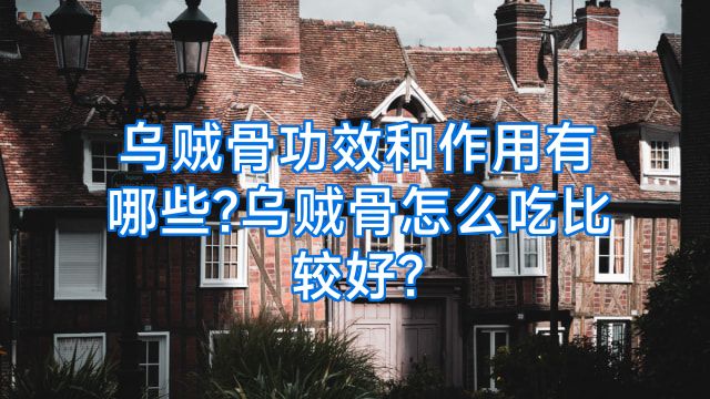 乌贼骨功效和作用有哪些?乌贼骨怎么吃比较好?