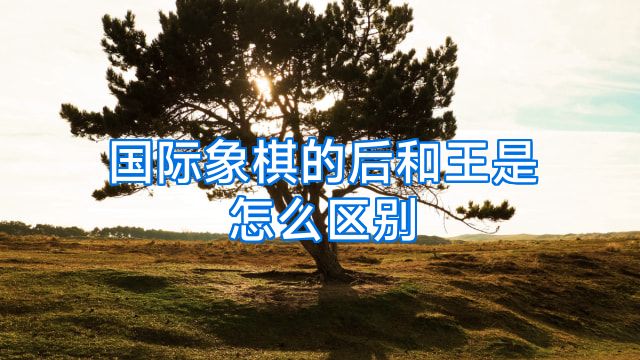 国际象棋的后和王是怎么区别