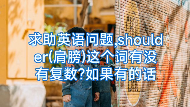 求助英语问题,shoulder(肩膀)这个词有没有复数?如果有的话