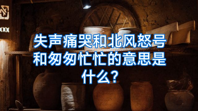 失声痛哭和北风怒号和匆匆忙忙的意思是什么?
