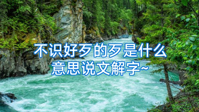 不识好歹的歹是什么意思说文解字~