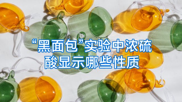 “黑面包”实验中浓硫酸显示哪些性质