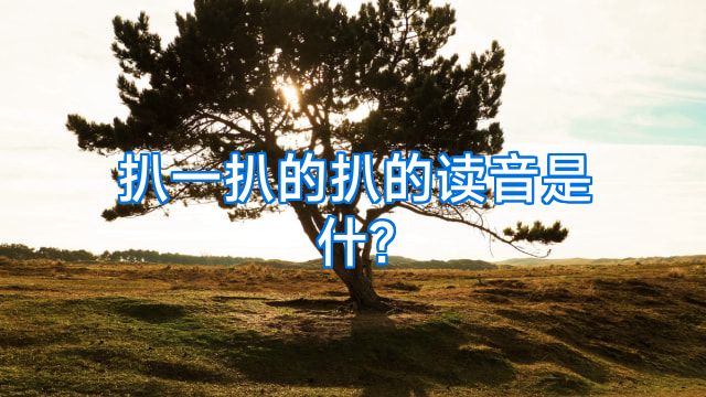 扒一扒的扒的读音是什?