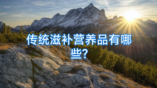 传统滋补营养品有哪些?