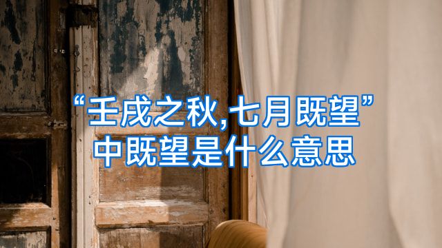 “壬戌之秋,七月既望”中既望是什么意思