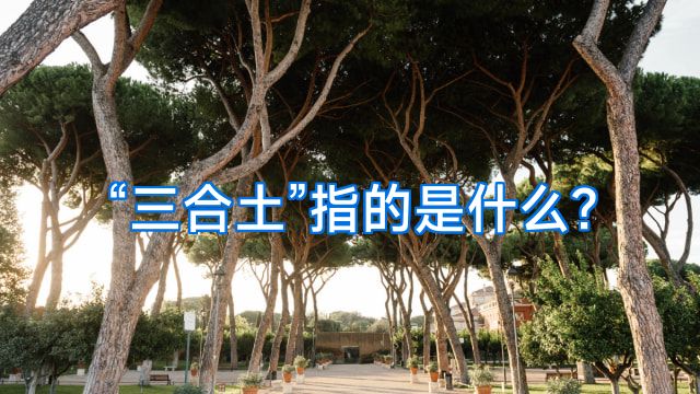 “三合土”指的是什么?
