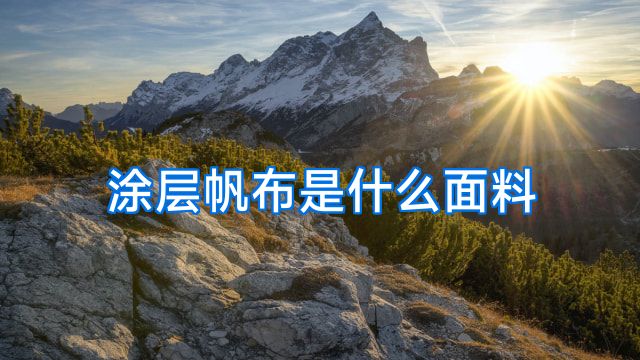 涂层帆布是什么面料