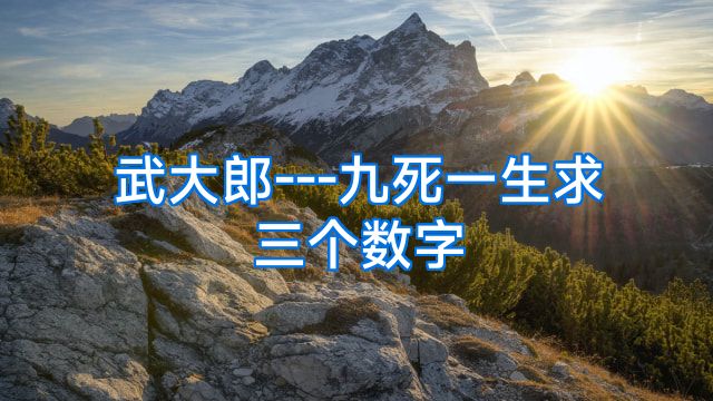武大郎---九死一生求三个数字
