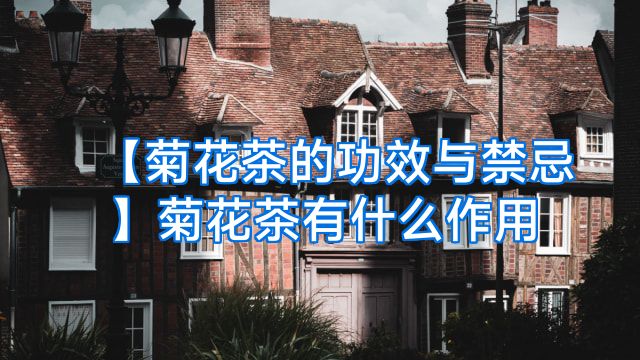 【菊花茶的功效与禁忌】菊花茶有什么作用