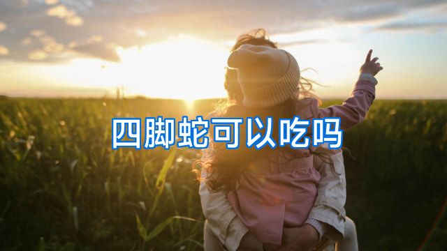 四脚蛇可以吃吗