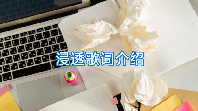 浸透歌词介绍