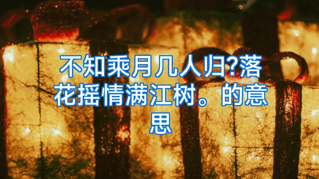 不知乘月几人归?落花摇情满江树。的意思