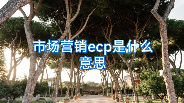 市场营销ecp是什么意思