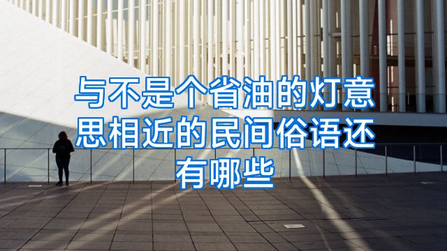 与不是个省油的灯意思相近的民间俗语还有哪些