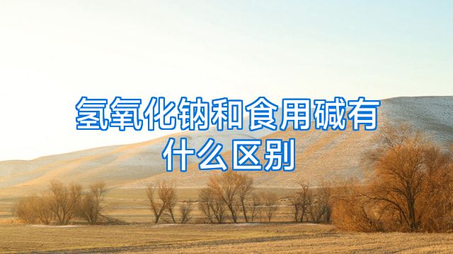 氢氧化钠和食用碱有什么区别