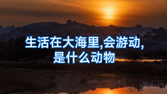 生活在大海里,会游动,是什么动物