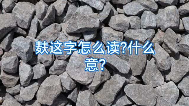 麸这字怎么读?什么意?