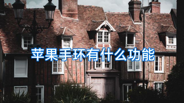 苹果手环有什么功能