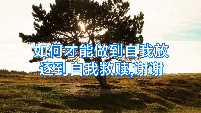 如何才能做到自我放逐到自我救赎,谢谢