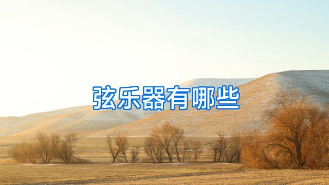 弦乐器有哪些