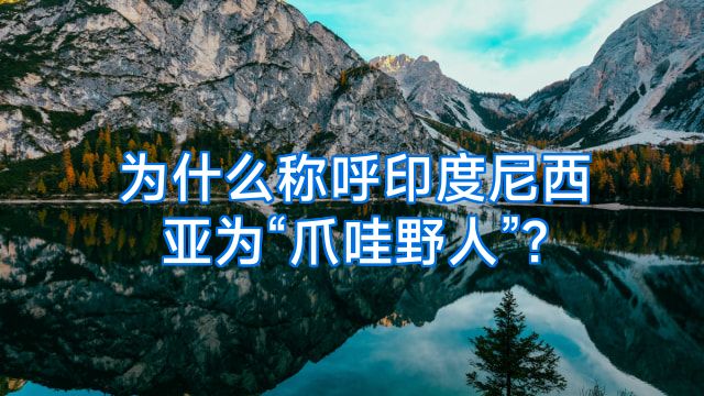 为什么称呼印度尼西亚为“爪哇野人”?