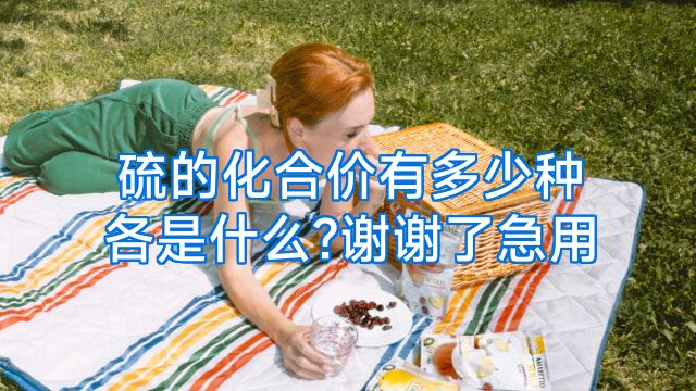 硫的化合价有多少种各是什么?谢谢了急用