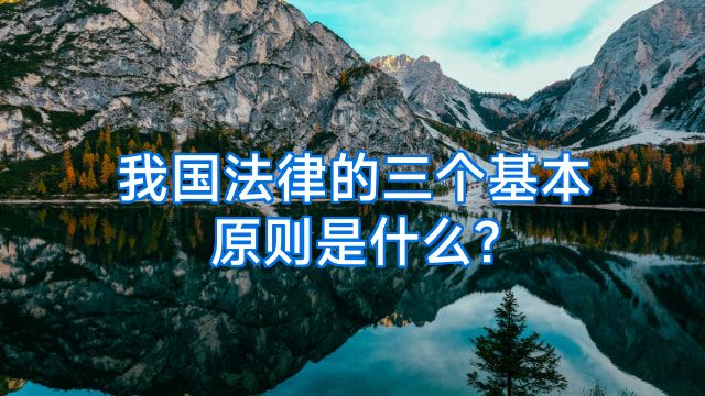 我国法律的三个基本原则是什么?