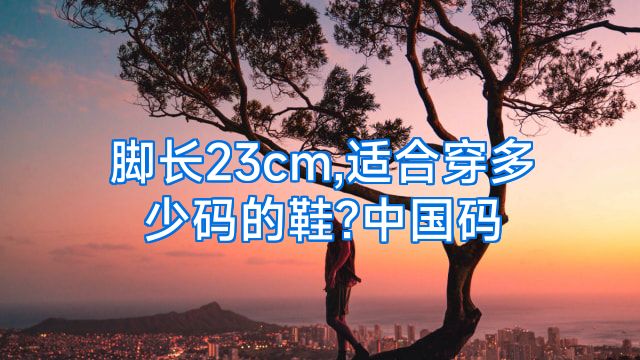 脚长23cm,适合穿多少码的鞋?中国码