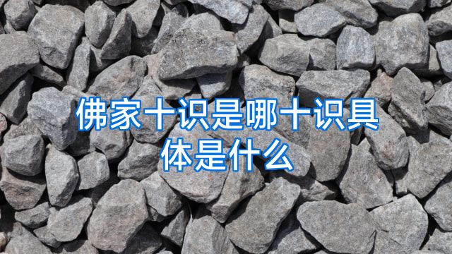 佛家十识是哪十识具体是什么