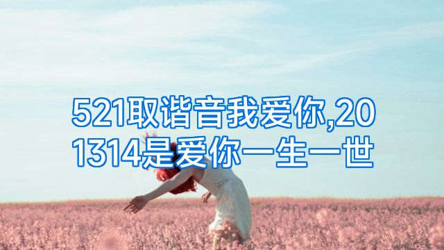 521取谐音我爱你,201314是爱你一生一世