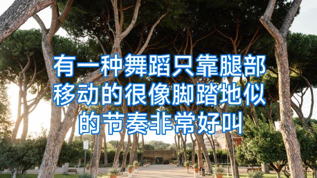 有一种舞蹈只靠腿部移动的很像脚踏地似的节奏非常好叫