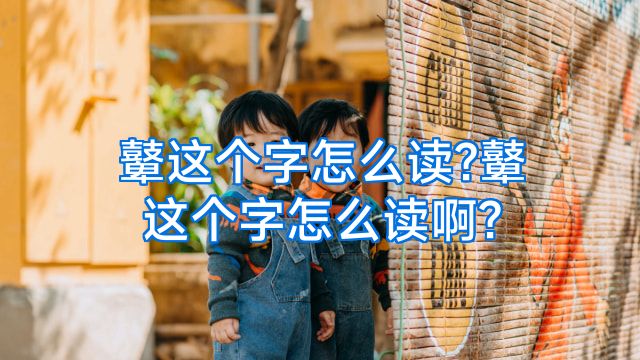 鼙这个字怎么读?鼙这个字怎么读啊?