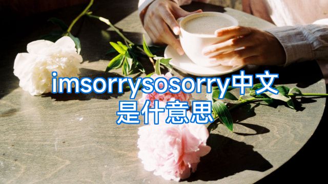imsorrysosorry中文是什意思