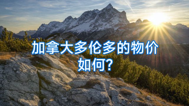 加拿大多伦多的物价如何?