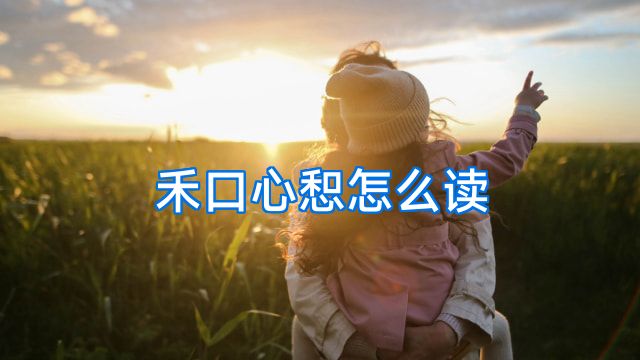 禾口心惒怎么读