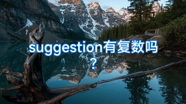 suggestion有复数吗?