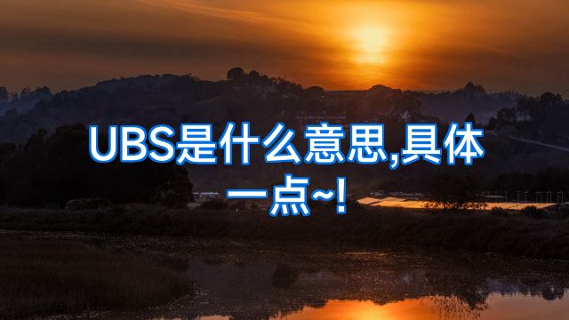 UBS是什么意思,具体一点~!