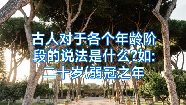 古人对于各个年龄阶段的说法是什么?如:二十岁(弱冠之年