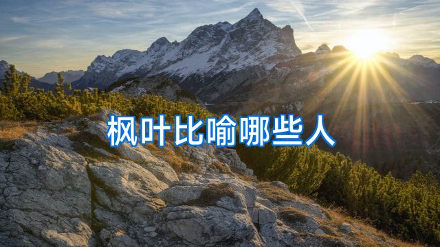 枫叶比喻哪些人